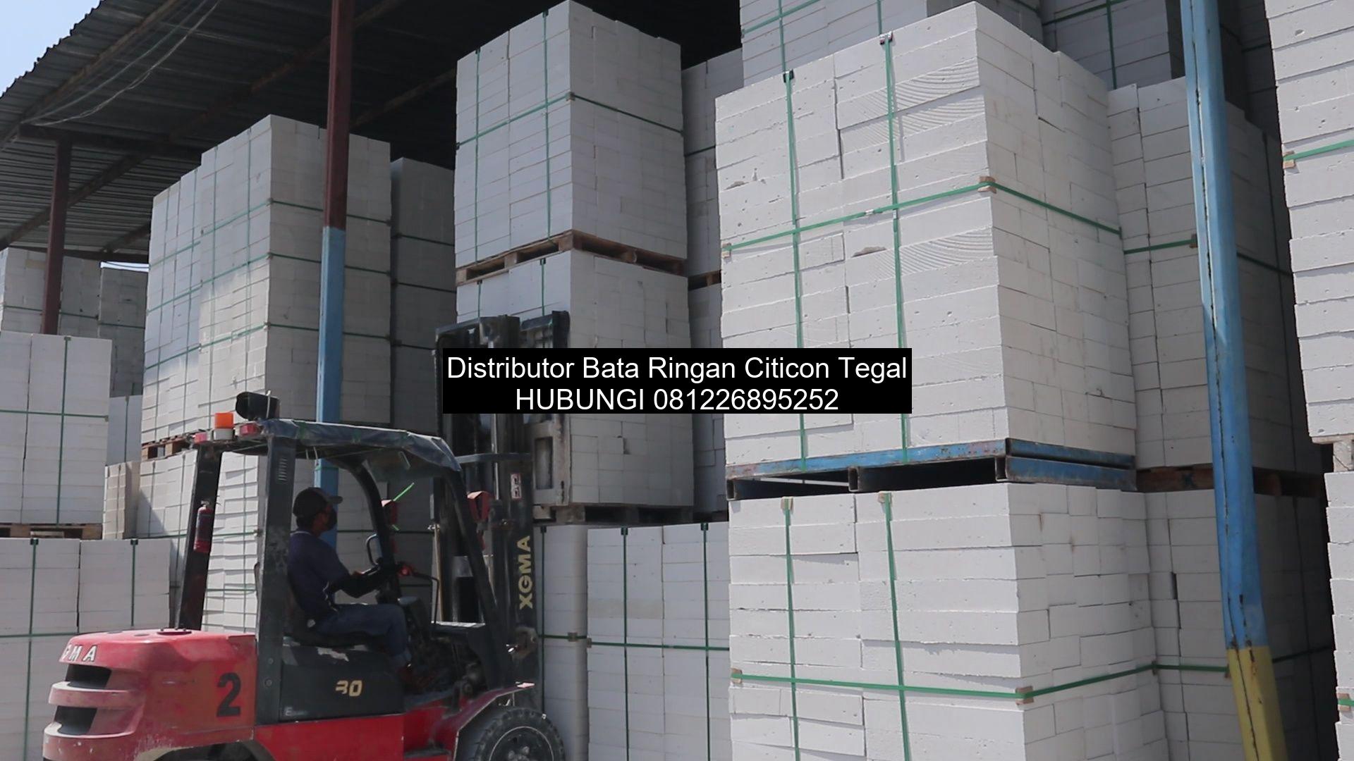 supplier bata ringan citicon Tegal bata ringan citicon Tegal, harga bata ringan citicon per kubik Tegal, distributor bata ringan citicon Tegal, pabrik hebel citicon Tegal, pabrik bata ringan citicon Tegal, harga hebel citicon per kubik Tegal, harga bata ringan citicon per biji Tegal, hebel citicon Tegal, harga citicon bata ringan di Tegal, harga bata ringan citicon di Tegal, jual bata ringan citicon di Tegal,